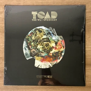 Toad The Wet Sprocket Starting Now LP Black Vinyl US 2022 New Sealed MINT - Picture 1 of 8