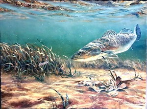 Chance Yarbrough Sea Trout Deception GiClee AP Speckled Trout - ungerahmt - Bild 1 von 9