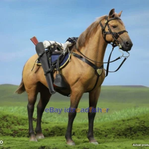 Figura de acción DID E60076 modelo marrón caballo de guerra de EE. UU. de pie para 1/6 EN STOCK - Imagen 1 de 5