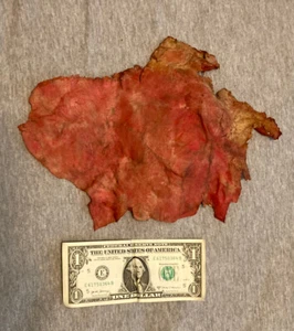 1998 BLADE Original Movie Prop DEACON FROST Large piece Skin Death Scene w/COA - Foto 1 di 4