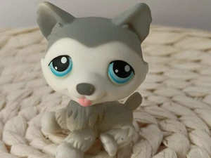 petshop authentic LPS Chien Husky White Dog Rare #70 original hasbro Aimant - Picture 1 of 3