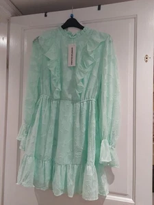 Size 16 Bnwt Dress Mint Green By TWISTED WUNDER LONDON. Lined With Sheer Sleeves - Picture 1 of 11