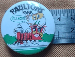 Vintage Pin Badge Paultons Park It's A Hoot - Owl Train - Picture 1 of 1