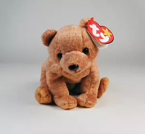Ty Beanie Baby Pecan the Bear DOB 4-15-99 - Picture 1 of 2