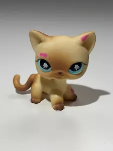 Littlest Pet Shop Lps Cat Shorthair #816 Cat Shorthair Pet Pairs 2008 - Bild 1 von 1