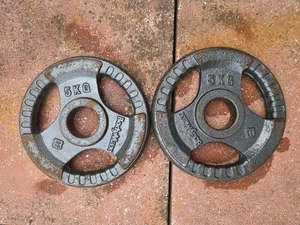 Placas de peso de hierro fundido Bodymax triple agarre 5 kg X2 Olympic - Imagen 1 de 3