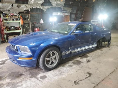 (LOCAL PICKUP ONLY) Passenger Front Door Electric Coupe Fits 05-09 MUSTANG 20288 Foto 1 de 4