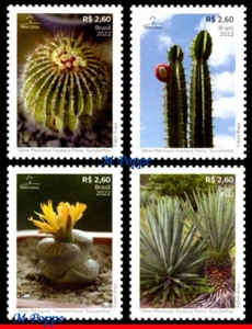22-14 BRAZIL 2022 FAUNA FLORA - SUCCULENTS, MERCOSUL SERIES, CACTUS, SET MNH - Picture 1 of 2