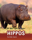 Jaclyn Jaycox Hippos (Paperback) Animals (US IMPORT)