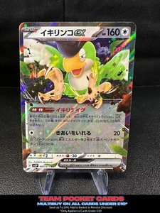 Squawkabilly Ex 065/071, sv2P Snow Hazard, Pokemon, Japanisch, NM - Bild 1 von 3