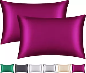 100% Mulberry Silk Pillowcase 2 Pack for Hair and Skin,With Hidden Zipper,Both S - Picture 1 of 12