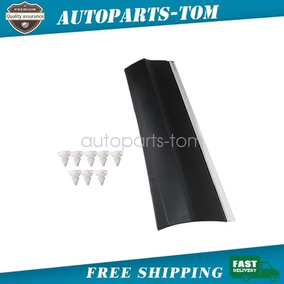 Moldura inferior para puerta trasera izquierda Volkswagen Tiguan 2018-2021 EE. UU. Foto 1 de 4