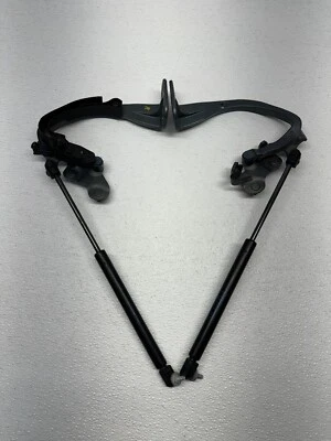 2010-2015 BMW 535i 550i GT REAR LOWER TAILGATE HINGES AND GAS STRUTS 7200516 OEM — 第 1/4 张图片