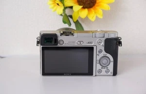 Sony Alpha A6000 & Kit 16-50 - Picture 1 of 7