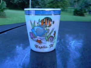 NAPLES, FL UNDERWATER FISH SHOT GLASS WHITE CERAMIC SHOT GLASS NICE ONE - Picture 1 of 3