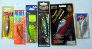 6 - Asst Brand Lures- Rapala, Rebel, Tsunami, Manns, Rat l Trap, Strike King-New - Picture 1 of 1