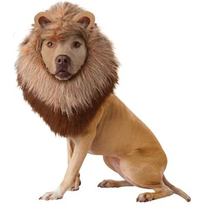 Animal Planet Lion Dog Pet Costume - Picture 1 of 1