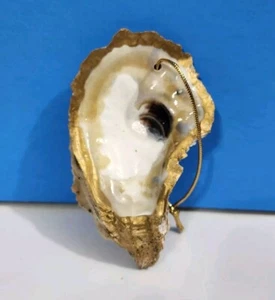 Oyster Shell Christmas Ornament With Handpainted Gold Trim - Picture 1 of 3