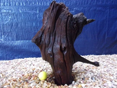 Medium Driftwood 14"x12"x08" Aquarium Terrarium Reptile Natural Art - Image 1 of 4