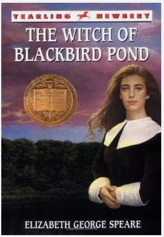 The Witch of Blackbird Pond - Paperback By Speare, Elizabeth George - VERY GOOD Foto 1 de 1