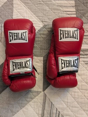Guantes de boxeo de cuero Everlast de grado profesional (juego de 8 oz y 10 oz) Foto 1 de 4
