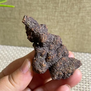 Mist Dinosaurier Koprolit Mist grobe Mineralproben 49g c259 - Bild 1 von 7