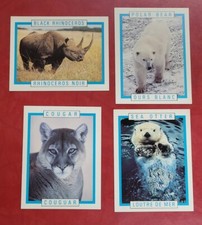 Lot Of 4 1990 Kellogg's Wildlife Cards Polar Bear , Cougar , Sea Otter & Rhino
