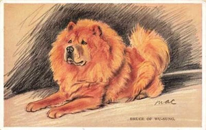 Early BRUCE OF WU-SUNG Mac Lucy Dawson dog postcard Postcard - Picture 1 of 1