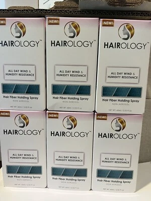 Hairology Hair Building Holding Setting Spray, 2 Fluid Ounce, LOT OF 6 - Image 1 of 2