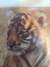 Red Rose Tea International Fund Animal Welfare IFAW Wildlife Baby Tiger coaster 