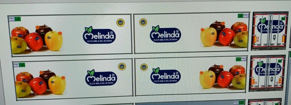 Grafica adesiva "Melinda" 2 vers. x rimorchi box 7.45  Herpa 1/87 autoproduzione - Immagine 1 di 1