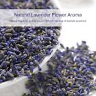 Dried Lavender Flowers Loose Natural Genuine Scent 50g Pourri Pot K6C6