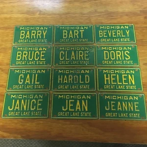 MICHIGAN GRAN ESTADO DEL LAGO CON NOMBRE EN BICICLETA PLACA ETIQUETA DE METAL - Imagen 1 de 28