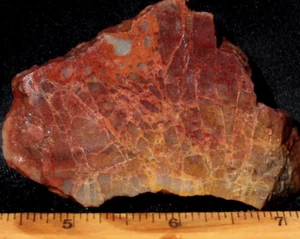 S383 ~ 2,0 Unzen dicke Platte moosig, konglomerierter Jaspis/Achat - Bild 1 von 8