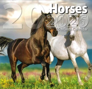 Calendario de pared 2026 caballos 16 meses (septiembre 2025 hasta diciembre 2026) 12"x12" - Imagen 1 de 2