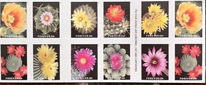 US Stamps 2019 Cactus Flowers 10 Sheets of 20 / A total of 200 - Picture 1 of 2