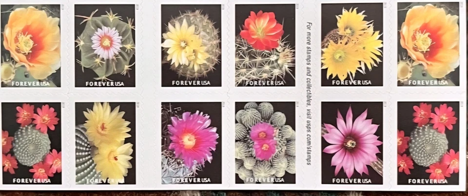 US Stamps 2019 Cactus Flowers 10 Sheets of 20 / A total of 200 - Image 1 of 2