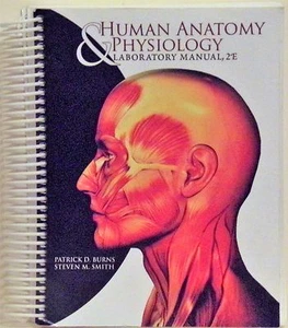 HUMAN ANATOMY & PHYSIOLOGY LABORATORY MANUAL - 2ND ED - 2009 - PATRICK D. BURNS - Picture 1 of 1