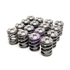 Skunk2 Racing 344-05-1300 Alpha Series Valve Spring And Retainer Kit