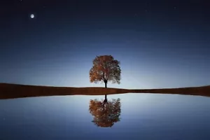 Digital Image Picture Photo Pic Wallpaper Background Lake Sunset With Tree 6571 - Picture 1 of 1