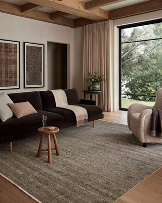 Colección Amber Lewis Molly MOL-05 Laguna/Natural 3'-0" x 5'-0" Pila Baja Acc... Foto 1 de 4