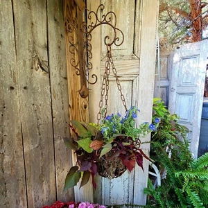 Decorative Metal Rustic Wrought Iron Hanging Flower Planter Basket - Picture 1 of 6