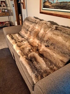 Real Dakota Coyote Fur Blanket/Throw - Picture 1 of 4