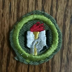 STIPENDIUM Typ E Verdienstabzeichen gekräuselter Rand khaki Köper Pfadfinder BSA Uniform - Bild 1 von 3