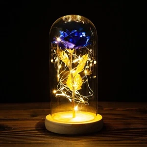 Rosa eterna en cristal luz led cumpleaños día de la madre regalo de amor estilo vivir de - Imagen 1 de 23