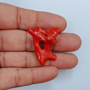 Antique Red Coral Rough Gemstone 100%Natural Italian Coral Polished Rough Branch - Picture 1 of 8
