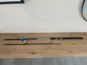Lion Wish Aal Rute 270cm 40-80g - Bild 1 von 7