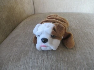 Vintage Pharma BIAXIN Plush Beanie Bulldog Drug Rep Promo, Bix the Dog - Picture 1 of 11