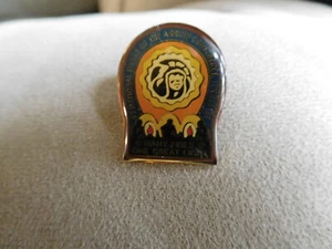 ZZ SCOUT BSA 1992 NOAC HAT PIN NATIONAL ORDER ARROW CONFERENCE TENNESSEE OA WWW - Picture 1 of 3