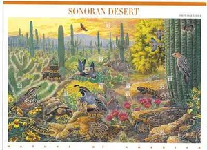 Scott #3293...33 Cent...Deserto di Sonora...Foglio da 10 - Foto 1 di 1